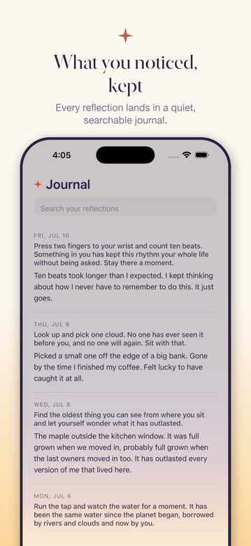 Journal of past reflections